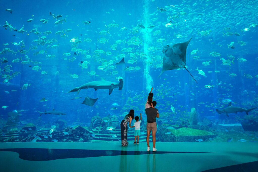 Dubai Aquarium at the Atlantis