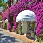 Via Camerelle - The most Glamorous and Fashionable areas of the island