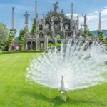 The Borromean Islands - Lake Maggiore