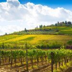 Campagna