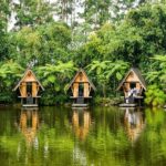 Jungle Retreat