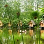 Jungle Retreat